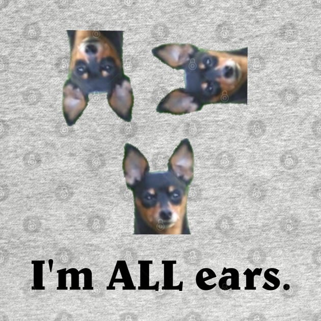 I'm all ears. by amigaboy